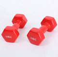 4 KG Dumbbell